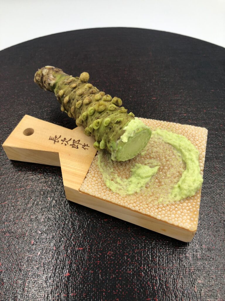 【夏休み食育講座】わさびは辛くない？！「わさびのひみつを知ろう！」