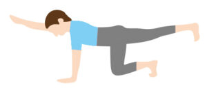 はじめてのかんたん！体幹トレーニング【3期】