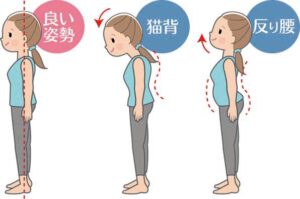 赤坂区民センター コミュニティみなと 楽しく動いて 美しい姿勢・動き方を身に付けよう!